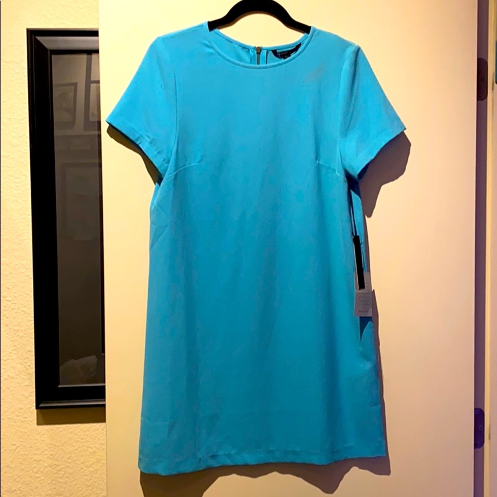 Felicity and Coco Shift Dress